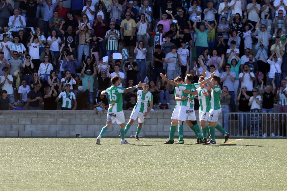 Descripción de la foto